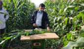 گزارش نهایی طرح پژوهشی کاهش مصرف آب در کشت تأخیری ذرت علوفهای منتشر شد