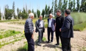 نقشآفرینی «پایگاه سامیان» در حفاظت از تنوع زیستی و توسعه فناوریهای گیاهان دارویی
