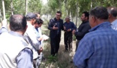 کارگاه آموزشی «زراعت چوب» در اردبیل برگزار شد/ تأکید بر کاهش فشار بر جنگلهای طبیعی