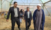 بازدید اعضای کمیته برنامه‌ریزی آموزش های مهارتی مددجویان زندان استان مرکزی از گلخانه‌های کشاورزی بنیاد تعاون زندانیان
