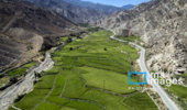 تداوم کشت برنج، پایداری خاک و آب خوزستان را به مخاطره انداخته است
