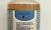 موفقیت شعبه شیراز موسسه رازی در ساخت نخستین واکسن سهگانه آبزیان کشور؛ پروانه تولید صادر شد