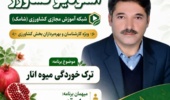 ترک‌خوردگی انار؛ عارضه‌ای قابل‌کنترل با مدیریت علمی آب، خاک و تغذیه