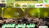 برگزاری دوره آموزشی «تغذیه محصولات گلخانه‌ای در کشت‌های خاکی»
