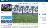 رهیافت یکپارچه افزایش بهرهوری در زراعت، نخیلات و شیلات