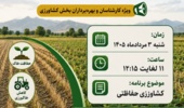 کشاورزی حفاظتی؛ راهبردی برای پایداری تولید و صیانت از منابع خاک و آب