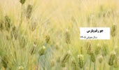 پارس رقمی نوین در ویترین کشاورزی ایران