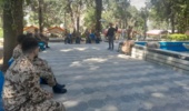 برگزاری دوره مهارتآموزی کاشت و پرورش درختان مثمر برای پرسنل وظیفه سپاه پاسداران انقلاب اسلامی شهرستان خرمآباد