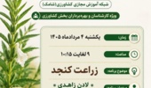 پخش برنامه «استودیو کشاورز» با موضوع زراعت کنجد در شبکه آموزش مجازی کشاورزی (شامک)