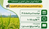 «زراعت برنج» روی آنتن شامک رفت؛ انتقال دانش کاربردی از زبان مدرس مرکز تات لرستان