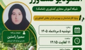 ترسیم مسیر بهرهبرداری ایمن از گیاهان دارویی با توسعه آموزشهای تخصصی تات لرستان