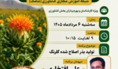 تولید بذر اصلاح شده گلرنگ؛ شاهکلید پایداری تولید در اراضی دیم و مقابله با تنشهای محیطی
