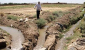 یکپارچهسازی کشت و حقابه؛ راهکاری بومی برای کاهش اتلاف آب در مزارع