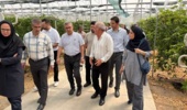 بازدید و معرفی ظرفیتهای فناورانه شرکتهای دانشبنیان مرکز رشد کشاورزی به مجتمع گلخانهای ارس تارلا امین