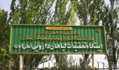 ایستگاه تحقیقات گیاهان دارویی استان مرکزی؛ میزبان بیش از ۷۰ گونه گیاه دارویی
