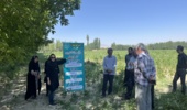 برگزاری کارگاه انتقال یافتههای مدیریت آفات و بیماریهای ذرت در سلماس