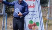 تلفیق پژوهش و ترویج در رودسر