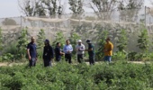 گامی نو در ارتقای تاب‌آوری کشاورزی با حضور کارشناسان و بهره‌برداران استان‌های البرز، تهران و قزوین