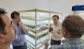 تاکید بر ارتقای کیفیت تولید مینی‌تیوبر سیب‌زمینی در کردستان