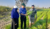 بازدید میدانی رئیس مرکز تحقیقات خوزستان از ایستگاه شاوور؛ تأکید بر ارتقای پژوهشهای کاربردی و مدیریت بهینه آب