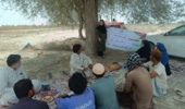 دوره آموزشی مدیریت مزرعه سورگوم در بخش پیر سهراب شهرستان چابهار
