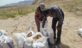 برگزاری دوره آموزشی مدیریت مزرعه سیب‌زمینی با همکاری جهاد کشاورزی شهرستان شاهرود