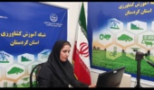 برگزاری برنامه آموزشی «ارتقای بهرهوری در زراعت کلزا» در شبکه آموزش کشاورزی کردستان