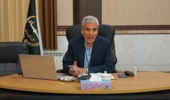 طهماسبی: آینده زنبورداری نیازمند نگاه جامع به چالشها و فرصتهاست