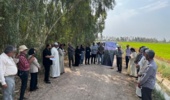 برگزاری روز مزرعه برنج با موضوع مدیریت مزارع الگویی خشکهکاری در خوزستان