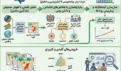 ثبت دانش فنی «سامانه یکپارچه آیندهپژوهشی مخاطرات چندگانه طبیعی در بستر تغییر اقلیم»؛ توسعه و اعتبارسنجی در ۹ استان زاگرسی