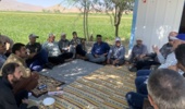 آموزش مدیریت بیماری‌های باکتریایی لوبیا توسط مرکز تحقیقات و آموزش کشاورزی