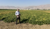 برگزاری رویداد ملی «روز انتقال یافتههای تحقیقاتی» در لرستان / از معرفی ارقام پرپتانسیل لوبیا تا پیادهسازی الگوی کشت مکانیزه با آبیاری تیپ