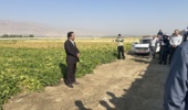 نباتی مدیر جهاد کشاورزی شهرستان بروجرد: تحقق عینی پیوند علم