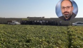روز انتقال یافته‌های تحقیقاتی در پردیس بروجرد؛ ایجاد پل ارتباطی میان پژوهش، آموزش و عرصه تولید