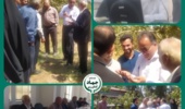 راهکارهای کاهش آلودگی پسته به افلاتوکسین در روز مزرعه رفسنجان بررسی شد