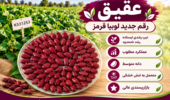 عقیق؛ رقم جدید لوبیا قرمز برای افزایش تولید و بهبود بهره‌وری آب