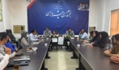 بررسی چالشهای تولید زعفران و مدیریت آفات و بیماریها در بخش چشمهساران