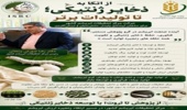 از اتکا به ذخایر ژنتیکی تا تولیدات برتر؛ حرکت مرکز تحقیقات ابریشم کشور برای توسعه زنجیره ارزش ابریشم