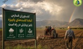 یک عامل طبیعی برای شستوشوی نمک از خاک