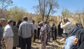 برگزاری کارگاه آموزشی مدیریت هرس و تغذیه باغات پس از برداشت محصول در شهرستان تفرش