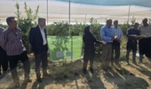 برگزاری برنامه انتقال یافته‌های تحقیقاتی انار با محوریت کاربرد سایبان در باغات ساوه