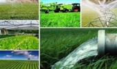 از ۱۱۲ به ۱۴۰ پروژه؛ شتاب فعالیت‌های تحقیقاتی کشاورزی در آذربایجان شرقی
