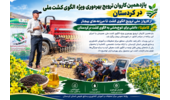 کاملینا در مسیر تنوع‌بخشی به الگوی کشت