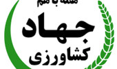 از شوک ارزی تا سایه جنگ؛ عبور امنیت غذایی ایران چگونه از یک آزمون سخت