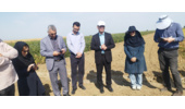 یازدهمین کاروان ترویج بهرهوری الگوی کشت ملی در پارسآباد مغان به راه افتاد