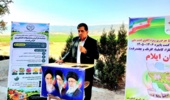 الگوی کشت ایوان باید به‌سمت محصولات اقتصادی و سازگار با اقلیم حرکت کند