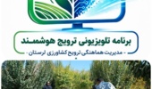 نسخه علمی برای جهش تولید در مزارع دیم؛ توصیههای فنی محقق ارشد غلات دیم مرکز تحقیقات کشاورزی لرستان برای ارتقای عملکرد گندم