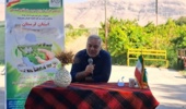 تحلیل و بررسی جایگاه الگوی کشت ملی در لرستان: ضرورت هم‌افزایی دانش پژوهشی و مدیریت به‌زراعی در مزارع پیشرو
