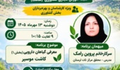 توسعه زنجیره ارزش «موسیر» در مزارع لرستان؛ گامی عملیاتی برای تحول در اقتصاد کشاورزان