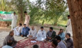 دوره آموزشی «مدیریت تغذیه درختان میوههای گرمسیری» برای بهرهبرداران شهرستان دلگان